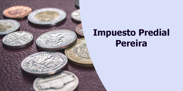 Recaudo predial Pereira 83%